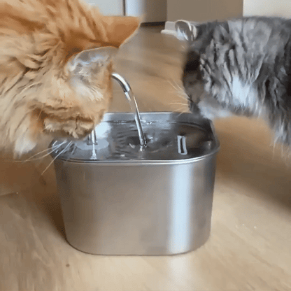 Miaulo™️ - Fontanella per Gatti 2,2L