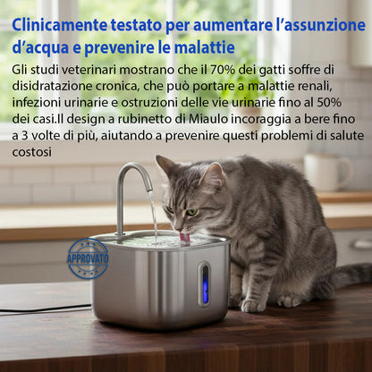 Miaulo™️ - Fontanella per Gatti 2,2L