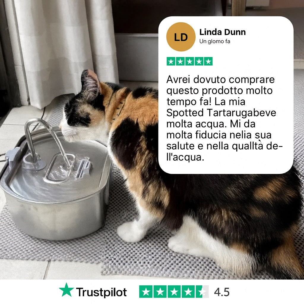 Miaulo™️ - Fontanella per Gatti 2,2L